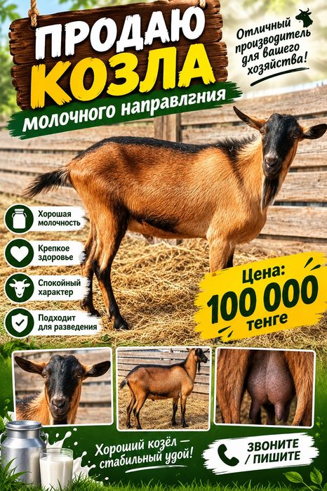 Продам Альпийский козлик
