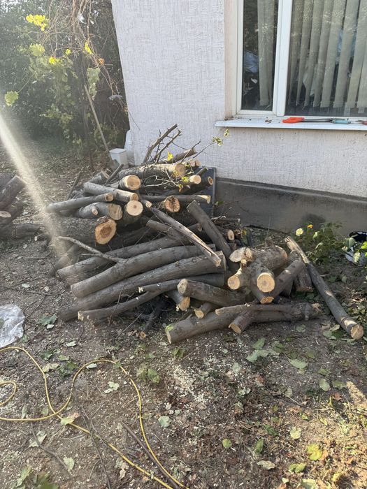 Дрова! Яблоневое дерево !