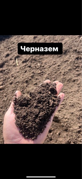 Черназем отличный