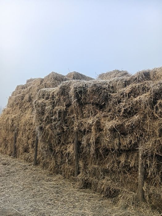 Продам сено естественное