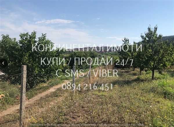 кодл 63086. Череши 4400м2 в отл. състояние, с ограда на 700м от селото