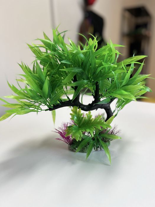 Decor acvariu arbore