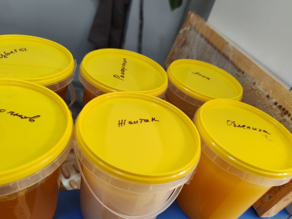 Мёд на Радуге разные сорта