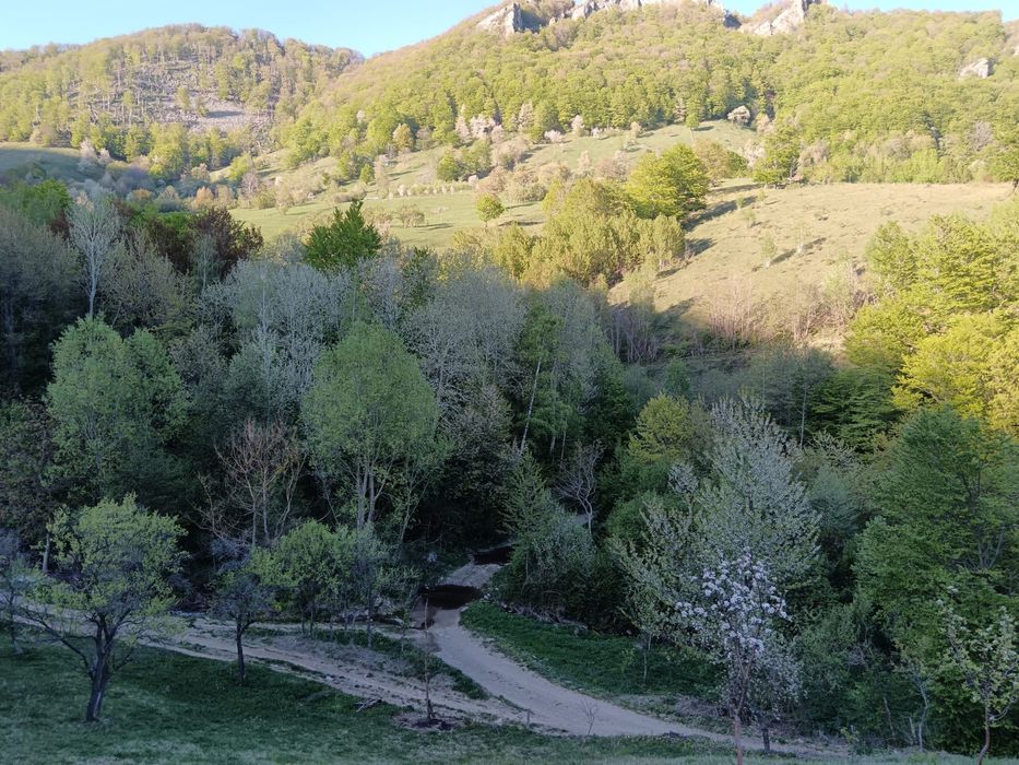 Teren Poiana Lunga,Cornereva