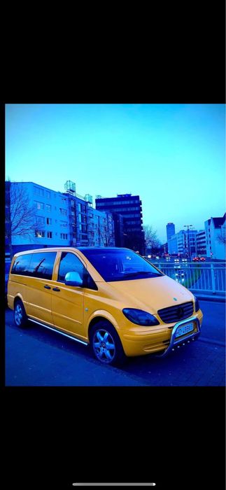 Bullbar si trepte inox vito