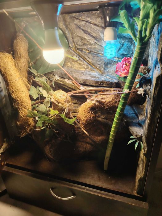 Терарим за хамелеон или друго