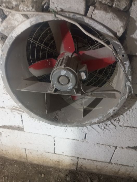 Vintilyator havoni soʻradigan kafolat bor