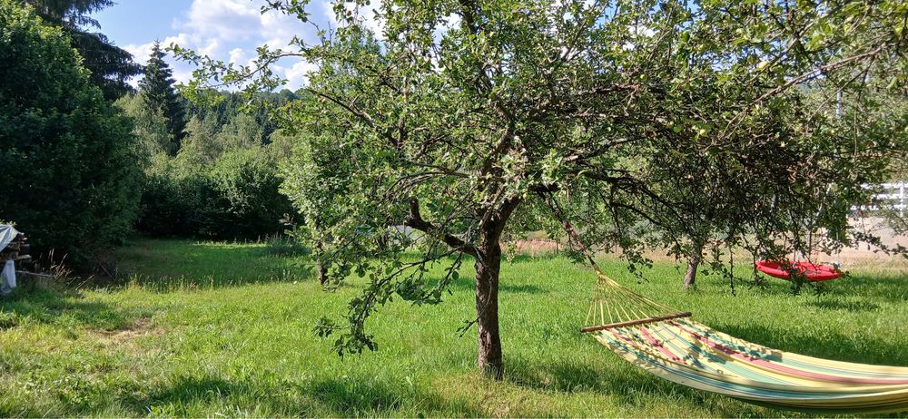 Persoana fizica vand teren cu utilitati in Rasca