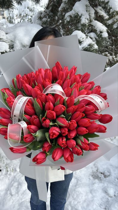 Красивые, свежие тюльпаны