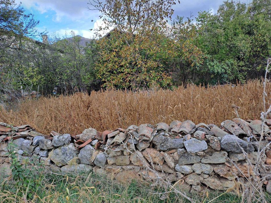 Продава се Парцел в с. Таваличево, Област Кюстендил - 1000 кв.м за 17 €/кв.м - Снимка #2