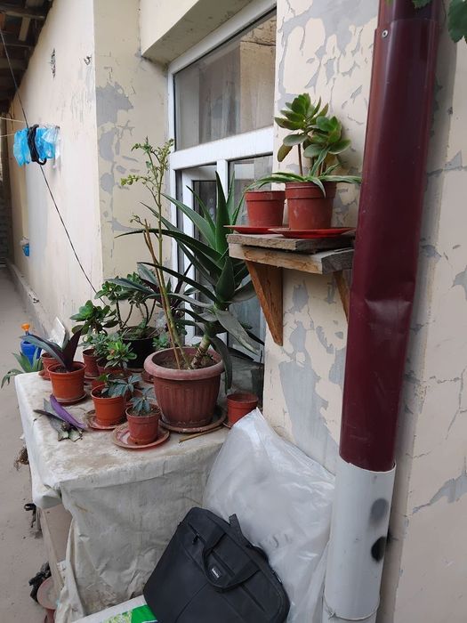 Продам 1 комн коттедж ( Общий двор) Яшнабад Сангород