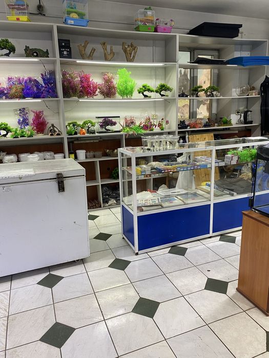 Продаю отдел аквариумистики