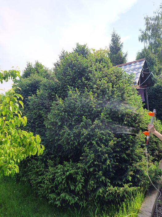 Форсунка для дорожного катка и обработки