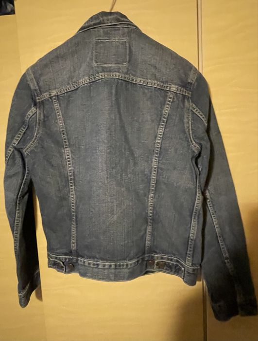 Jacheta Levi’s blug