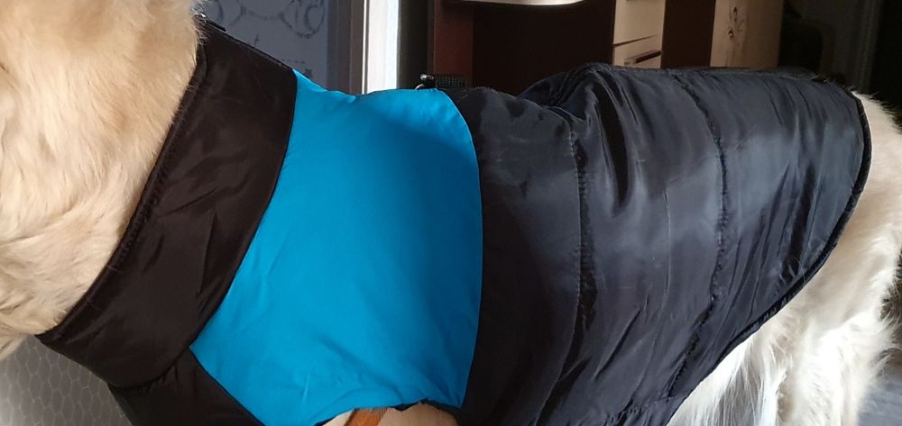 Жилетка для собаки