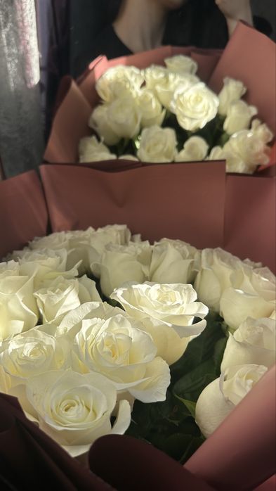 Свежие пышные 25 Белых розһ