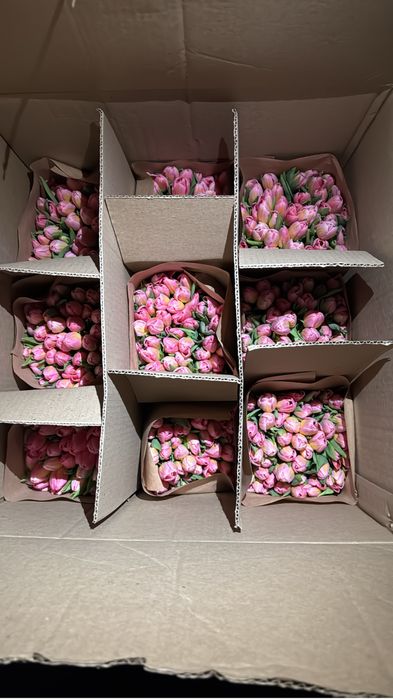 Тюльпаны на 8 марта