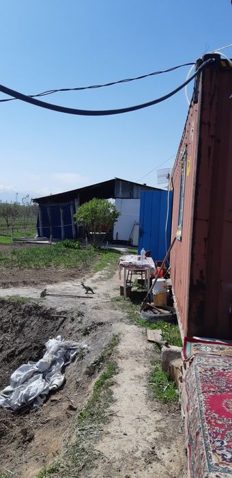 Яблочный сад и.т