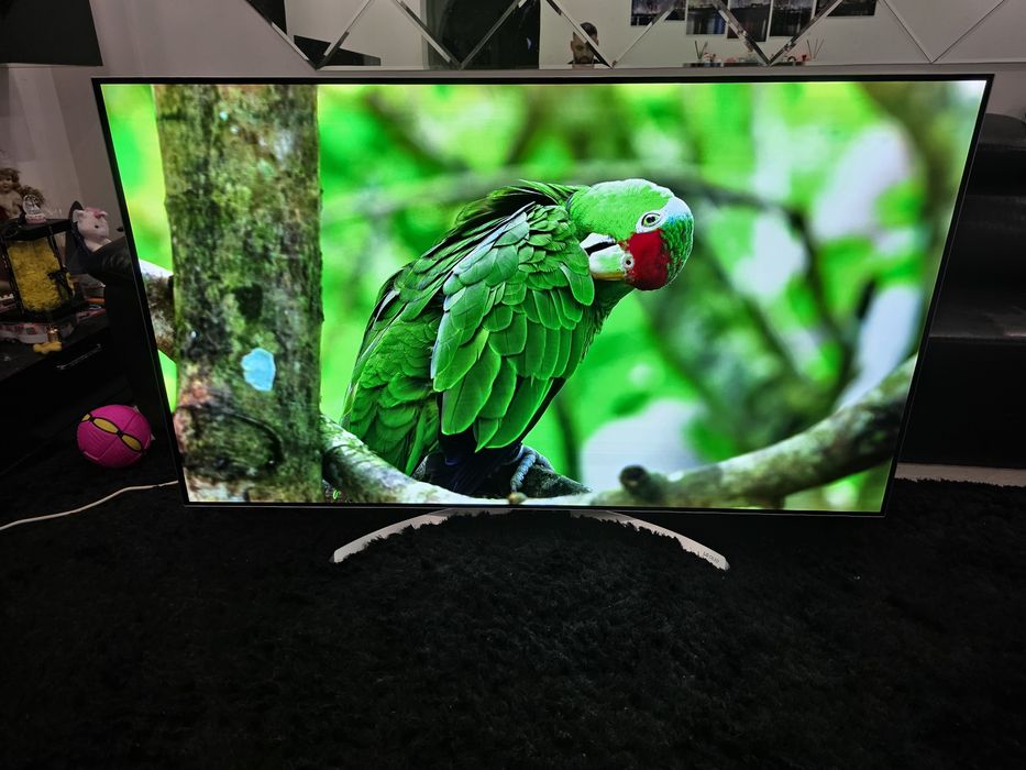Lg Oled 65"ingi, 164cm diagonala, OLED55B7D