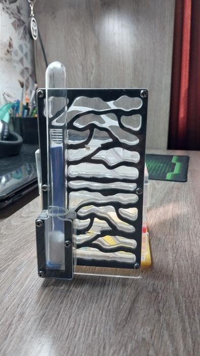 Муравьиная ферма.