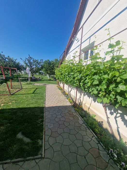 Domeniu Privat Șiria 3000 mp
