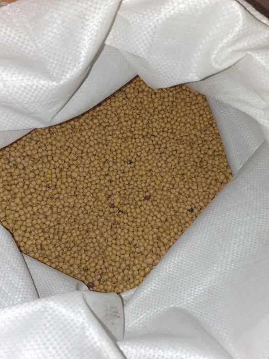 Продам пищевую сою