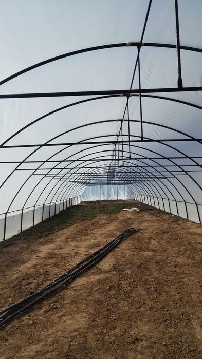 Solarii pentru capsuni   si legumeieftine de calitate