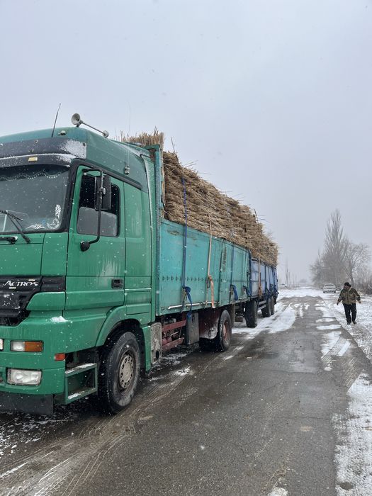 Камыс камыш маты