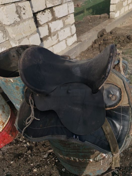 Ер токым Ер токым