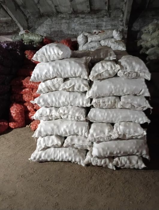 Продам только оптом картошку(сорая, крона