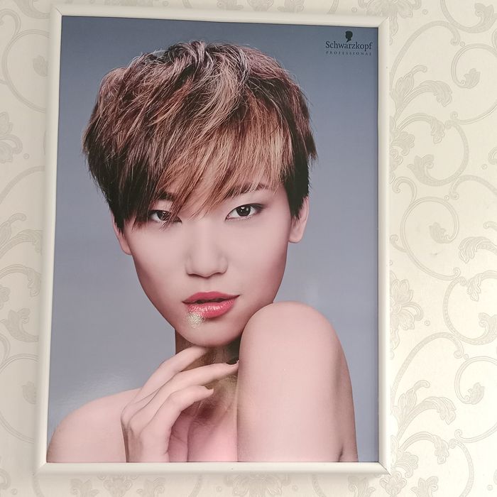 Парикмахерские картины