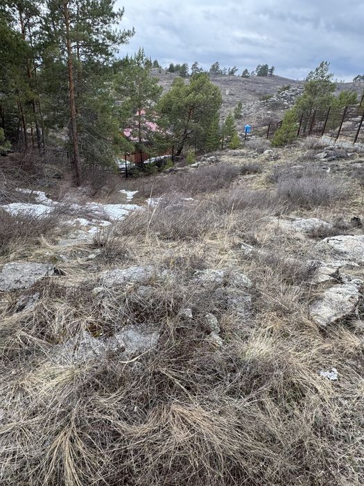 Продам участок 12 соток. Бухтарма, б/о «Удача»