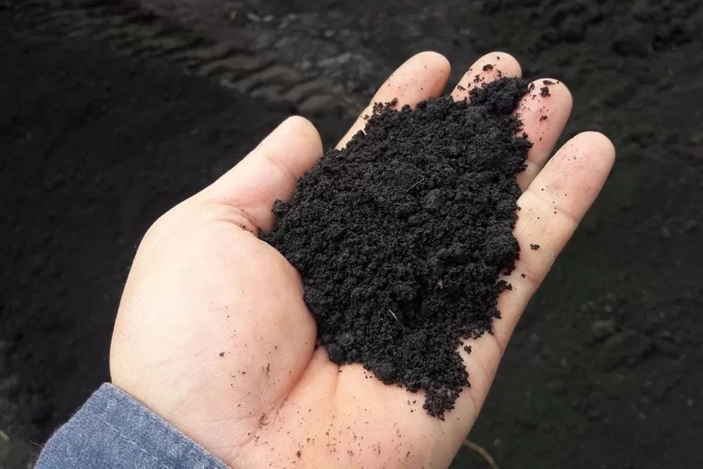 горный чернозем в мешках