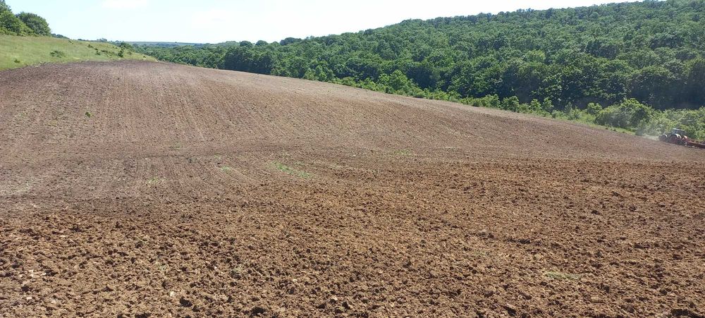 Земеделска земя обл.Варна, общ.Аксаково, с.Зорница