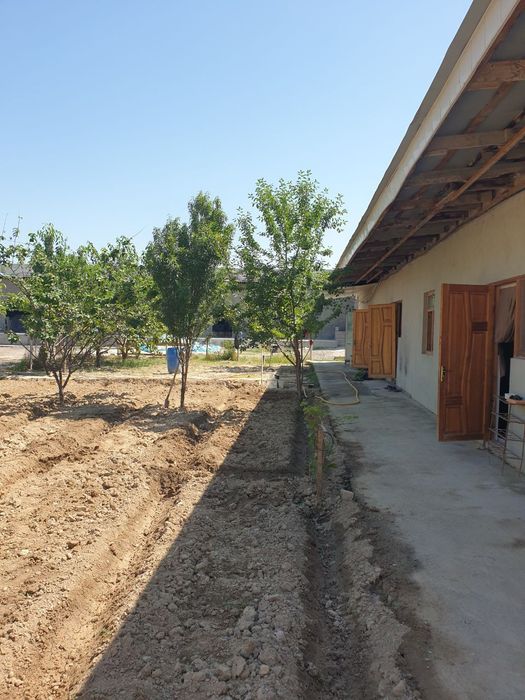 Продается готовый бизнес в Янгиюле.