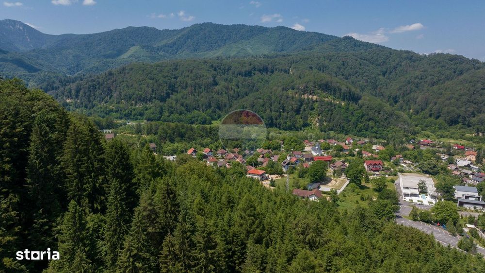 Teren intravilan, 3500 mp, Dâmbu Morii