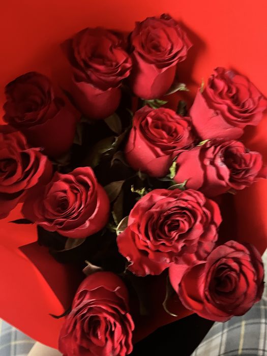 Продам цветы 11 шт