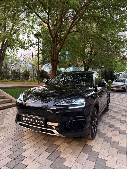 BYD Champion Smart 2025 yil