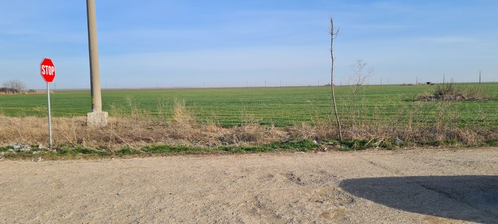 Teren intravilan 8000 mp