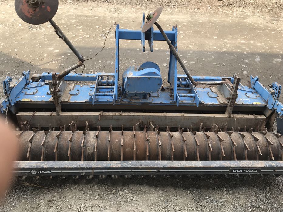 Corvus Rabe kesak maydalydigan va Orietta selka garantiya