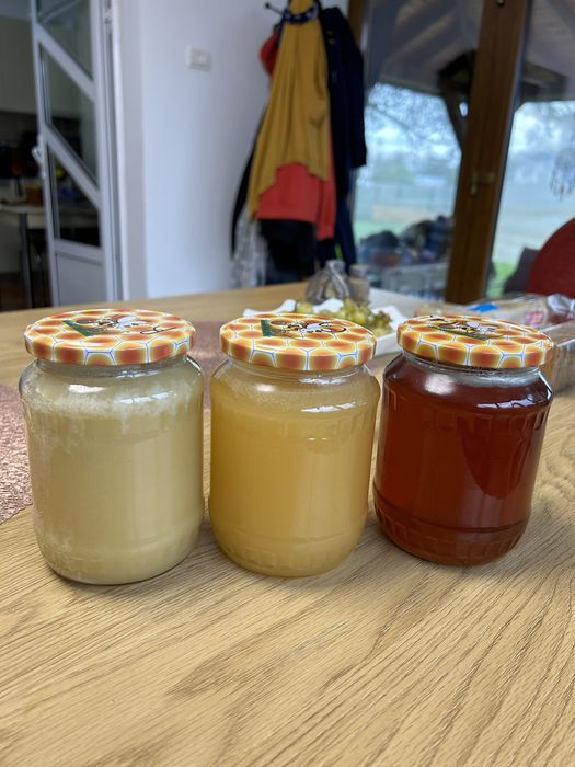 Miere polifloră, rapiță, salcâm, tei, floare