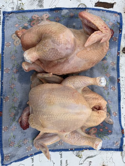 Продам мясо домашнего БРОЙЛЕРА