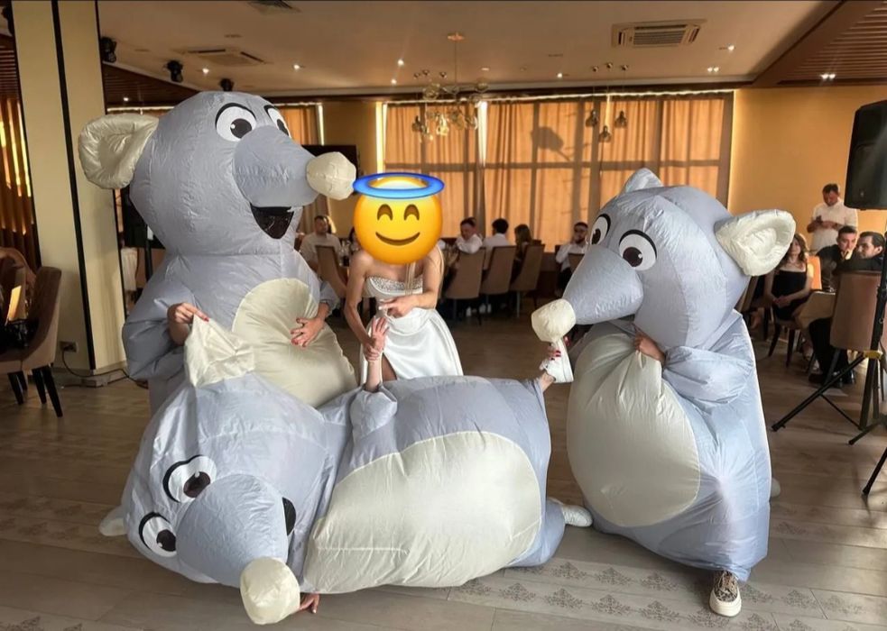 Надувные костюмы крыс