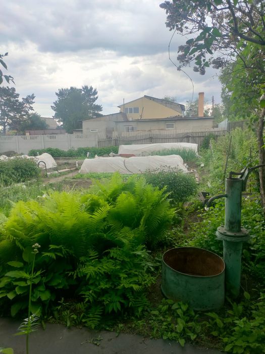 Продам дачный участок