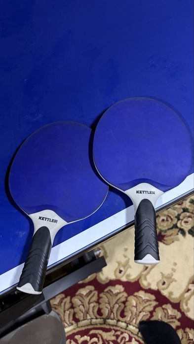 Теннисный стол kettler smash 9