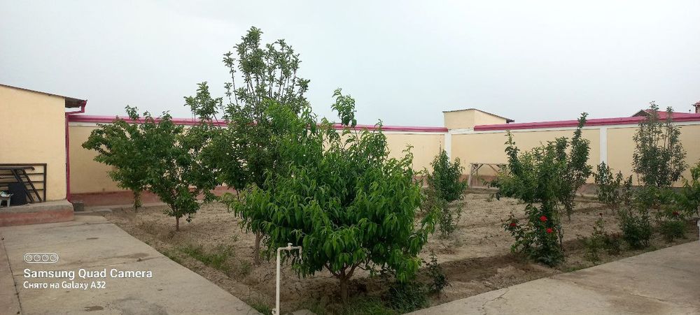 Kotej ijaraga beriladi