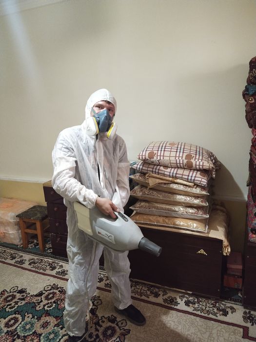 Дезинфекция Дезинсекция клопов тараканы мыши крысы   скорпионы блохи