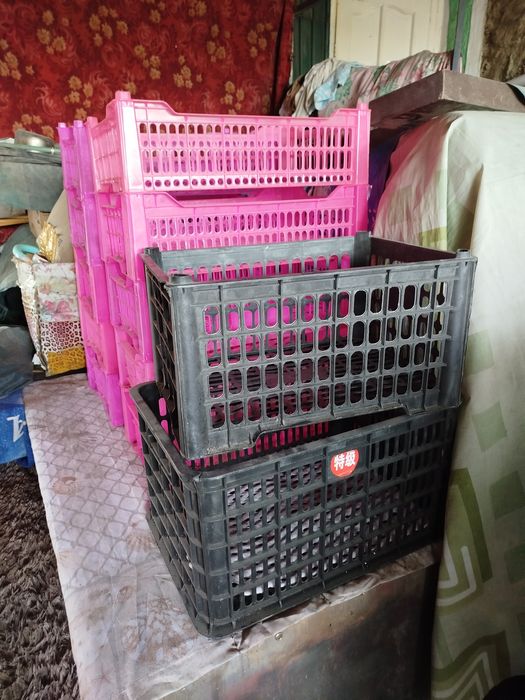 Пластиковые ящики 12шт.