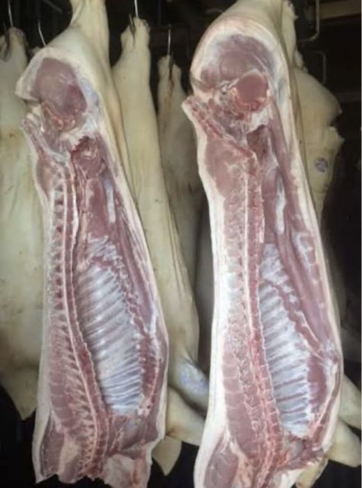 Продам мясо свинины