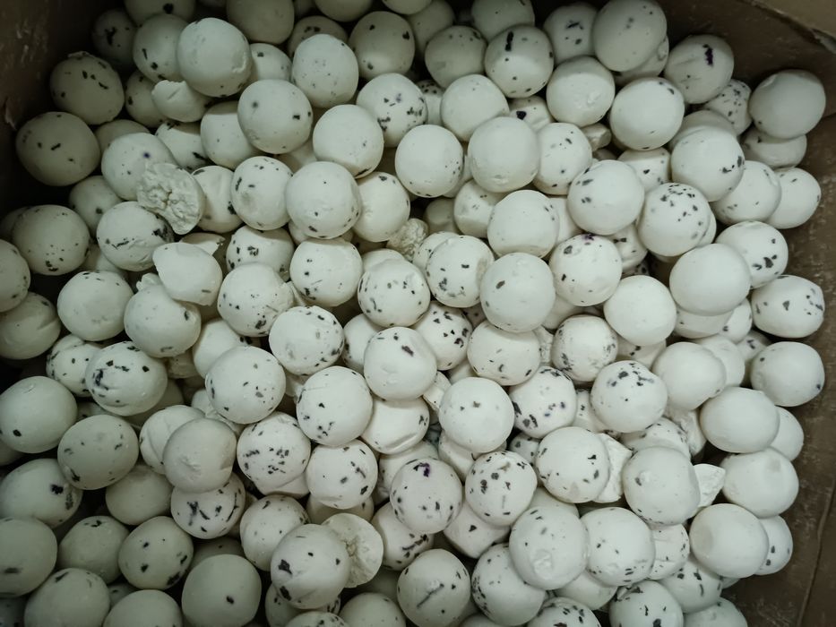 Курт от производителья